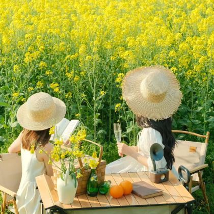 云南昆明+罗平+弥勒+抚仙湖6日5晚跟团游