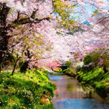 日本东京+箱根+大阪+京都7日6晚私家团