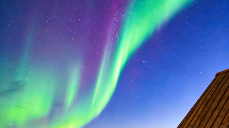 5-Day Mini group of up to 8 people,Harbin + Mohe + Arctic Village