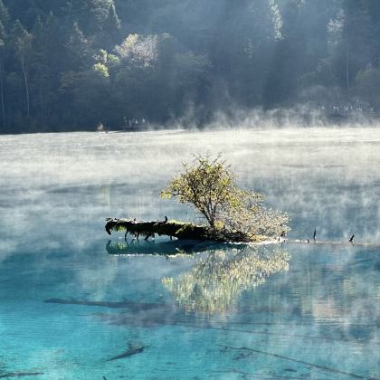 成都+九寨沟+三星堆博物馆6日5晚私家团