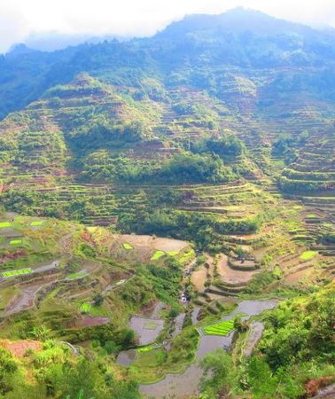 4D3N • Banaue Rice terraces adventure (3 days 2 nights) from Manila***