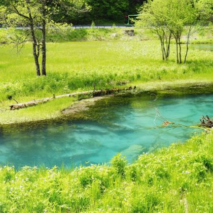 成都+四姑娘山景区+毕棚沟+黄龙风景名胜区+九寨沟6日5晚自由行