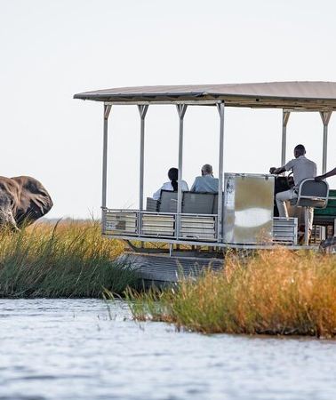 3D2N • 3 Days Camping Safari in Chobe National Park From Victoria Falls