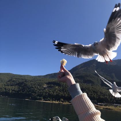 云南大理市+洱海4日3晚拼小团