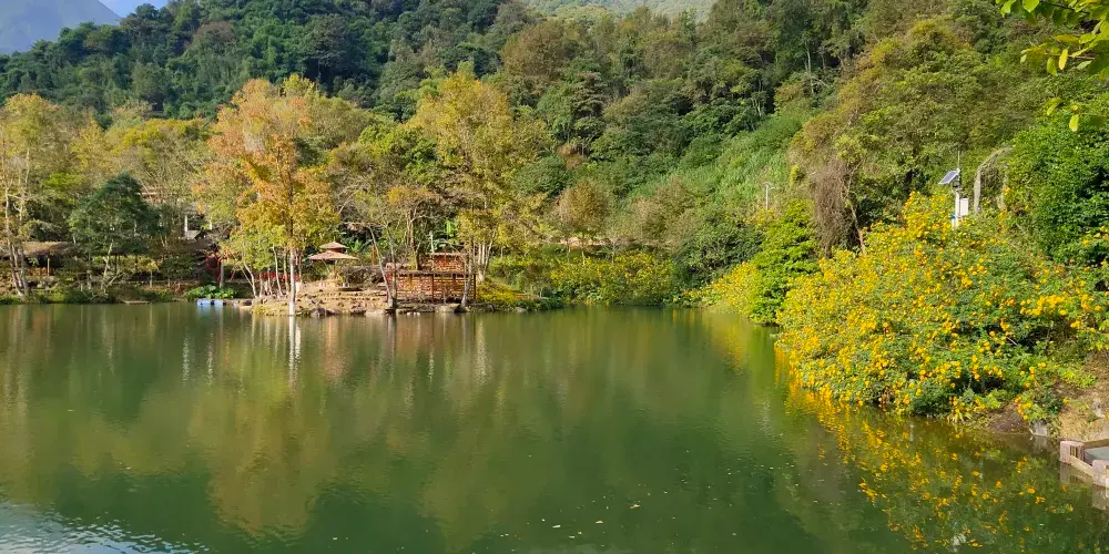 永安旅遊