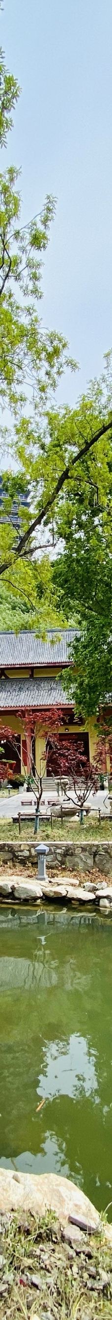 大伊山-灌云