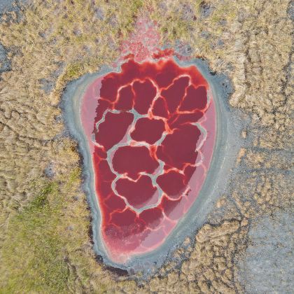 宁夏银川+中卫沙坡头+腾格里沙漠5日4晚私家团