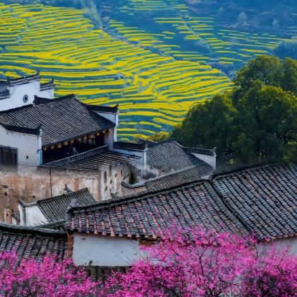 江西南昌+庐山+景德镇+婺源风景区+婺源篁岭景区4日3晚跟团游