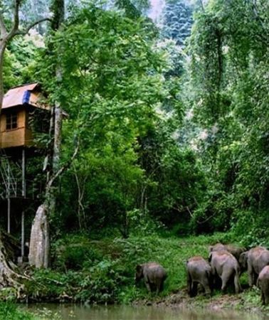 5D4N • Xishuangbanna: Manting Park Photoshoot + Night Tour of the Tropical Botanical Garden + Wild Elephant Valley + Fruit-Decorated Boat Cruise  or FUNSIX Six-Nations Music Festival