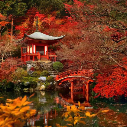 日本大阪+京都6日5晚私家团