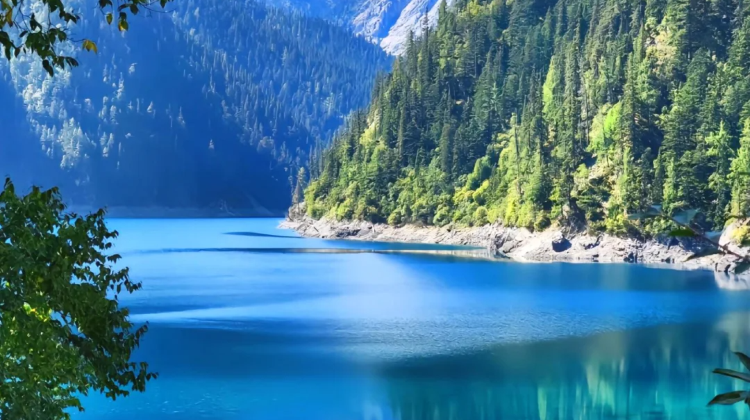 7D6N · Group Tours · Chengdu + Jiuzhaigou + Huanglong National Scenic Area + Chengdu Research Base of Giant Panda Breeding + Sanxingdui Museum