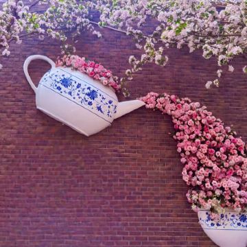 天津+国家海洋博物馆+五大道+瓷房子4日3晚自由行