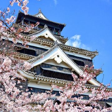 日本九州+福冈+佐贺+熊本+鹿儿岛+宫崎+别府+黑川温泉12日11晚私家团