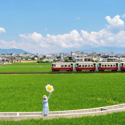 大理市2日1晚私家团