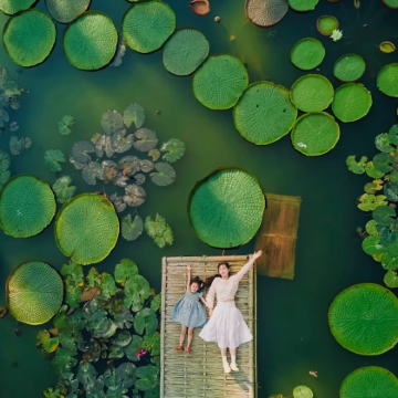 云南昆明+大理市+丽江+西双版纳8日7晚跟团游