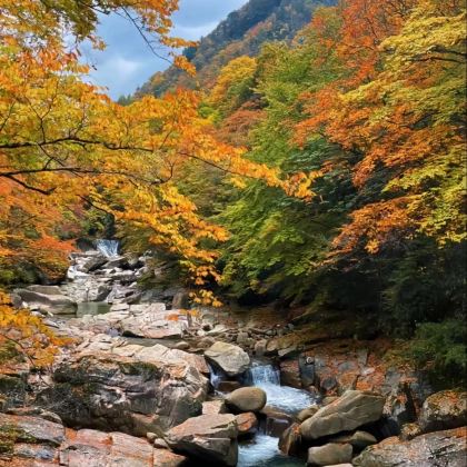 成都+三星堆博物馆+光雾山+米仓山国家森林公园+阆中古城5日4晚私家团