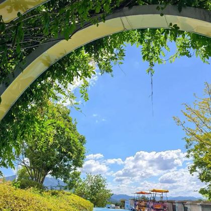 杭州+富阳区+桐庐+建德+千岛湖7日6晚私家团