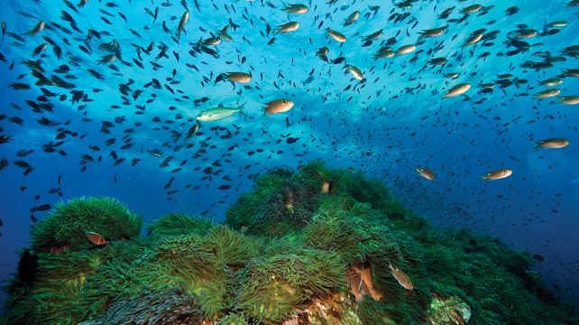 14-Day Ultimate Thailand Adventure·from Ancient Temples to Tropical Islands