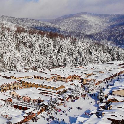 雪乡+漠河+北极村6日5晚拼小团