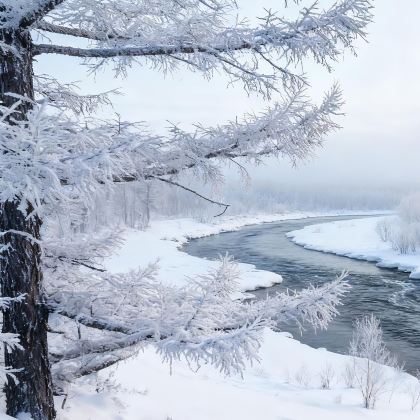 呼伦贝尔+阿尔山4日3晚拼小团