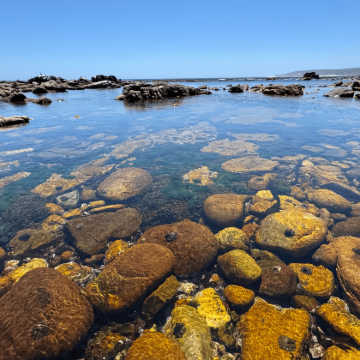 南非开普敦+克鲁格国家公园+花园大道12日9晚跟团游