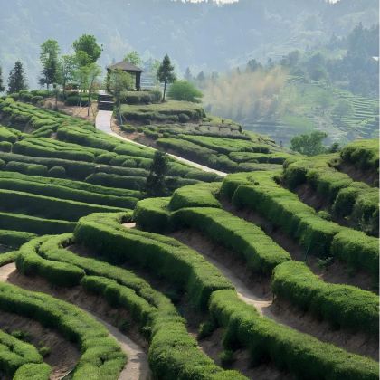 安徽六安+霍山3日2晚自由行