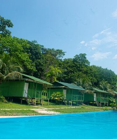 2D1N • 2-Day All Inclusive Guided Jungle Tour from Iquitos at Maniti Eco-Lodge