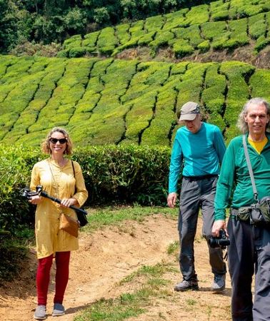 8D7N • 8 Days Kerala Private Tour Covering Kochi- Munnar- Periyar- Alleppey and Kovalam