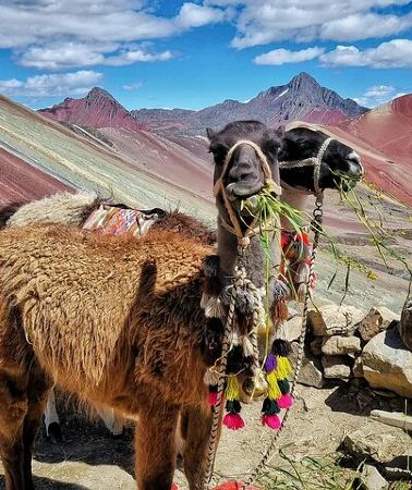 2D1N • 2-Day Best of Cusco: Machu Picchu by Train & Rainbow Mountain ATV