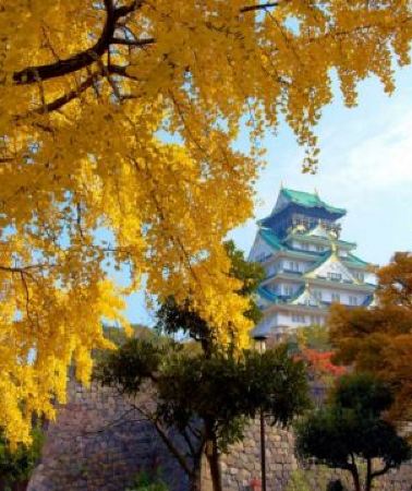 6日5晚 • 京阪神 古風秋色6天寫意之旅 「賞紅葉名所」及「海の京都」天橋立~傘松公園(包吊椅/單軌電車)、賞紅葉(嵐山風景區~渡月橋、紀三井寺)、一天自由活動