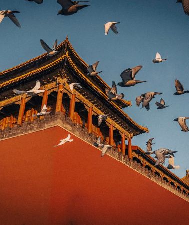 6D5N • Fall Limited Offer · Pre-book to get a Gubei Water Town admission ticket. Be among the first to stay at the 2nd Ring Hilton Garden Inn, with a free day to fully enjoy Beijing's autumn scenery