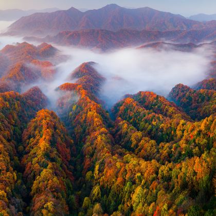 成都+巴中+恩阳古镇+光雾山旅游景区+米仓山国家森林公园+十八月潭景区5日4晚拼小团