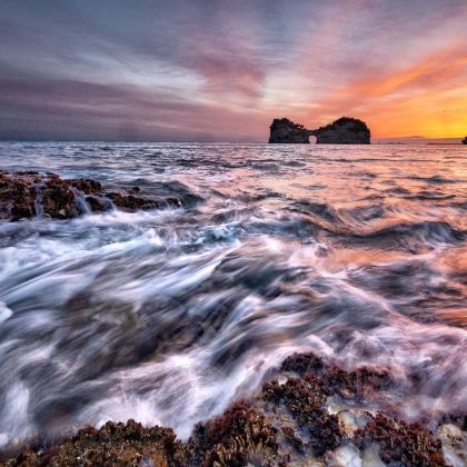 日本大阪+和歌山市7日私家团