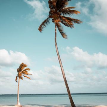 巴拉德罗+圣克拉拉+哈瓦那8日7晚私家团