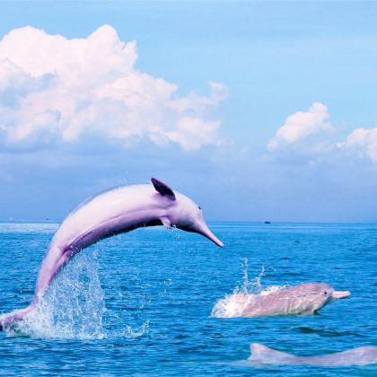 北海银滩景区+涠洲岛+三娘湾4日3晚自由行