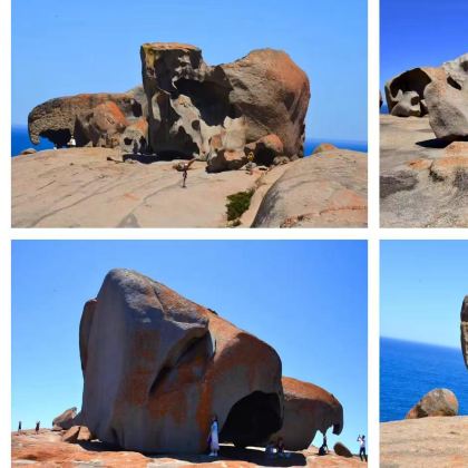 澳大利亚阿德莱德+澎湃粉红湖4日3晚私家团