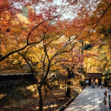 日本名古屋+高山市+白川乡+下吕市5日4晚私家团