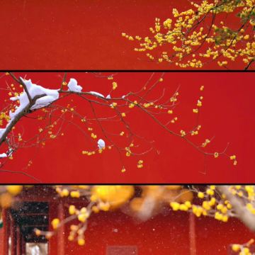 南京3日2晚私家团