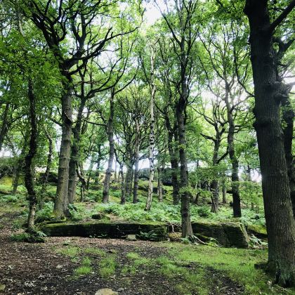 英国曼彻斯特+约克+纽卡斯尔+温德米尔+格拉辛顿+惠特百5日4晚私家团