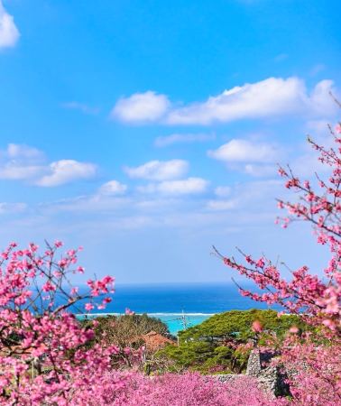 5D4N • Okinawa Naha Explorer: Cape Manzamo, Churaumi Aquarium & Island Highlights