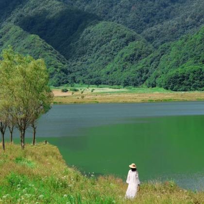 神农架+长江三峡+三峡大坝+宜昌5日4晚私家团
