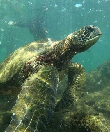 7D6N • 7 Day Galapagos Island Hopping Tour