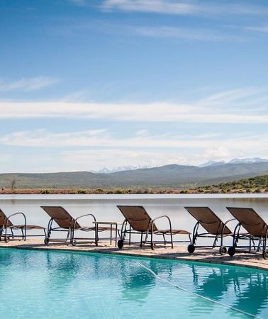 2D1N • 2 Day Wild Heart Western Cape Safari Tour with Private Transfers