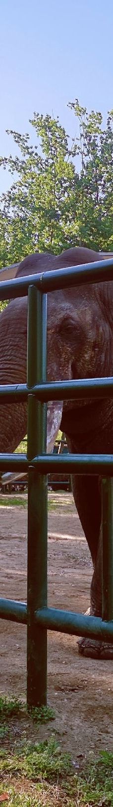 秦皇岛野生动物园-秦皇岛