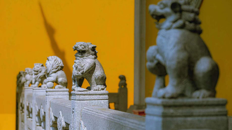 杭州西湖旅行社主题公园深度游：文化体验新标杆