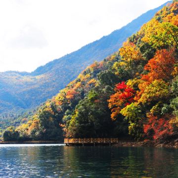 陇南文县天池国家森林公园+瑶寨沟风景区+九寨沟风景区2日1晚跟团游