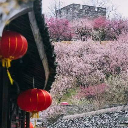 台州神仙居+紫阳街2日1晚拼小团