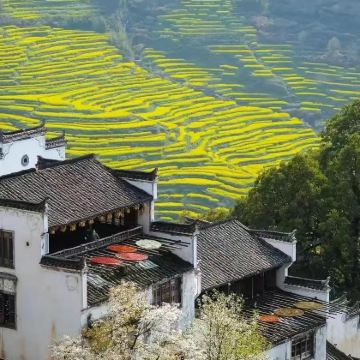 江西南昌+景德镇+庐山风景名胜区+三清山风景区+婺源+望仙谷6日5晚跟团游