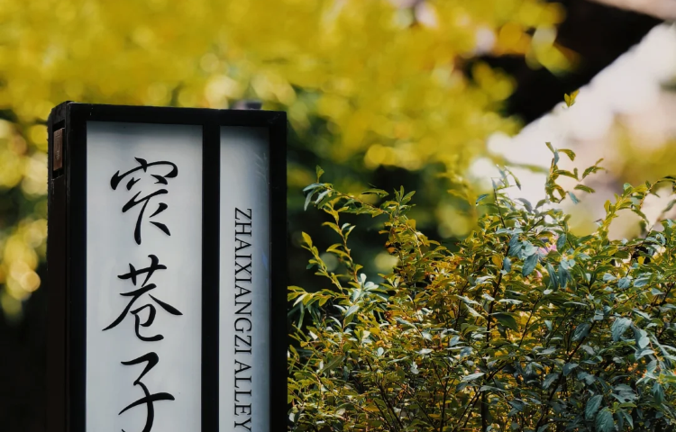2-day 1-night · Private tours · Jinsha Site Museum + Chengdu Research Base of Giant Panda Breeding + Wenshu Monastery · Savor the slow life in a teahouse and enjoy a city walk in Yulin. Experience local attractions like visiting pandas, all with the comfort of a 5-seater vehicle and a preferred tour guide.
