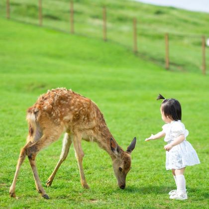 郴州+东江湖旅游区+高椅岭旅游区+仰天湖大草原2日1晚私家团